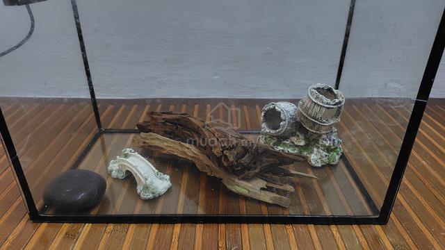 Akuarium set - photo 2 of 6
