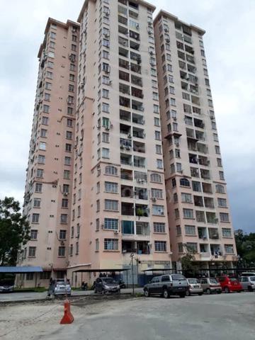 Bilik Sewa Lelaki Non Sharing Kondominium Mutiara Perda 1