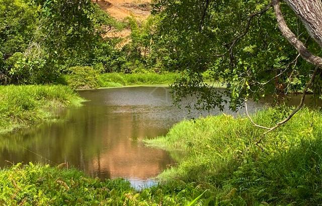 Nature Lake View KKB 1