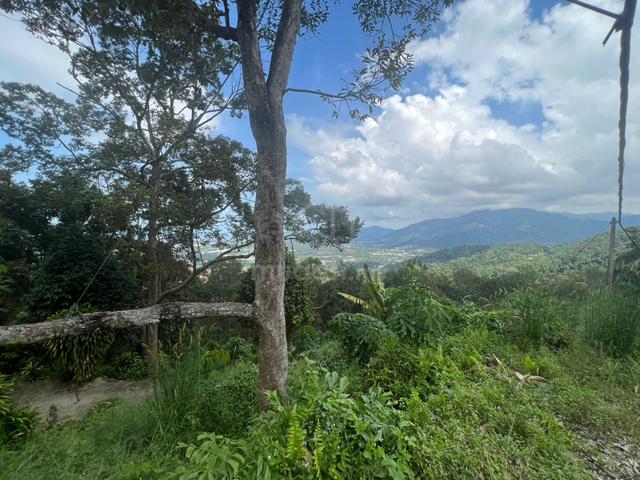 Hill Land at Pulau Betong, Barat Daya, Penang 1