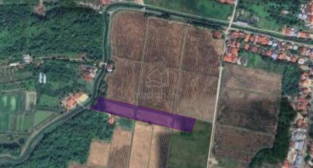 First Grade Land Sungai Burong Balik Pulau 1