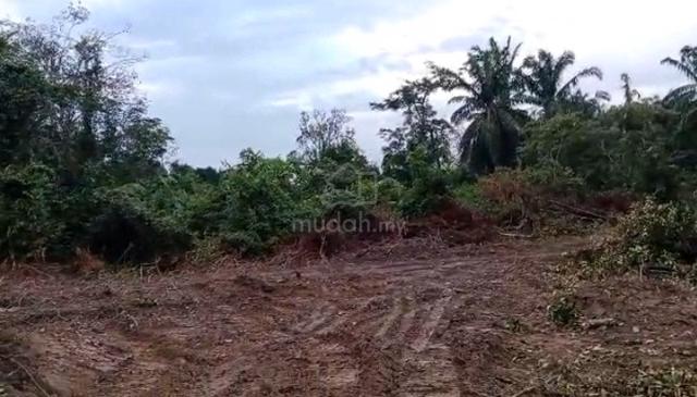 Tanah Untuk Dijual Johol Negeri Sembilan 1