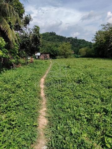 Lot kosong untuk dijual 1