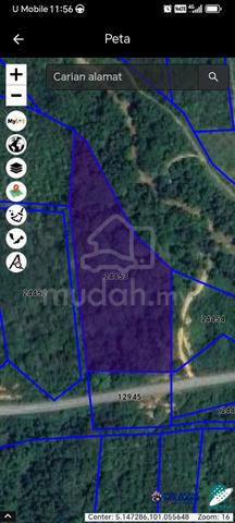 tanah tepi sungai Lenggong 1