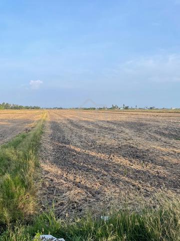 Tanah Bendang Tiga Relong Tiga Penjuru untuk dijual 1