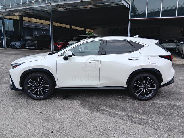 2023 Lexus NX250 2.5 LUXURY (A) - 4