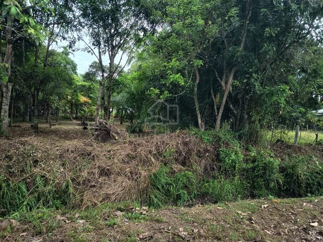 2 lot for sale near beach Kampung Sungai Alo Mukah, Sarawak 1