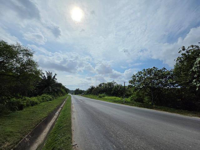 Jalan Seelong@Senai, Agricultural land, Freehold 1