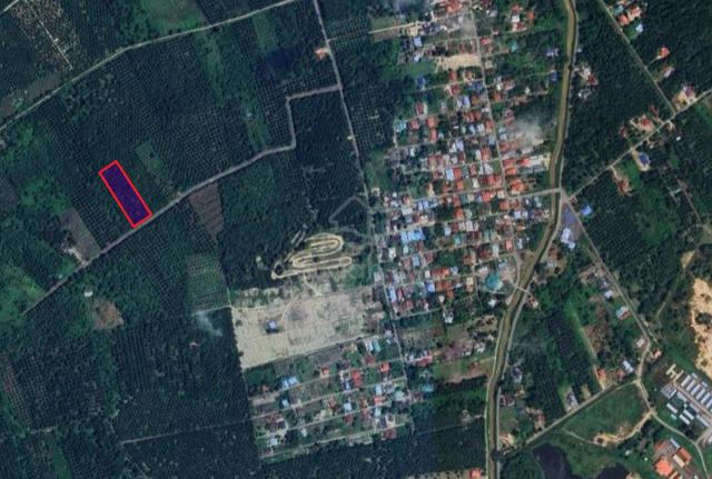 TANAH KEBUN 2 Ekar di Kg Bentong Dalam, Kluang [PALING MURAH] 3