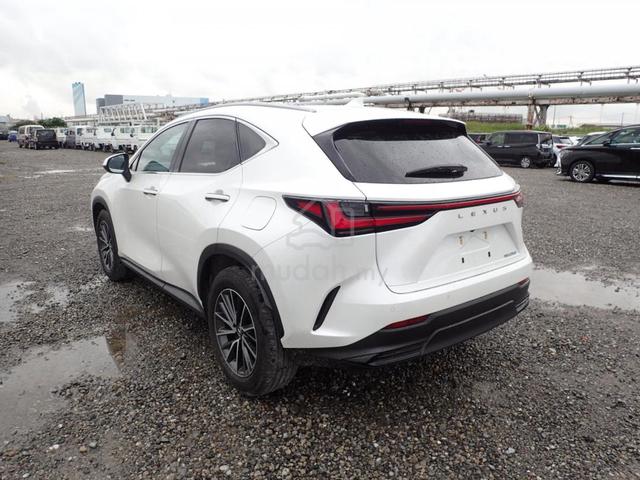 2024 Lexus NX250 HUD 4CAM SUNROOF - 3