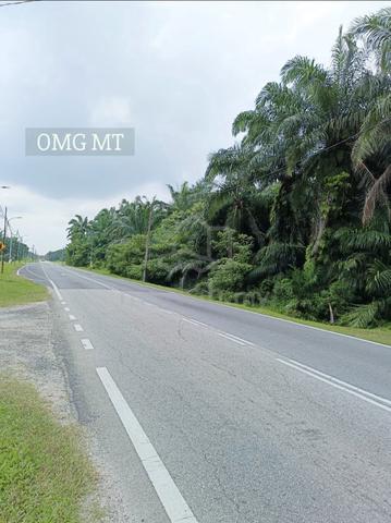Telok Panglima Garang Agrilculture Zoning Industrial Land For Sale 1