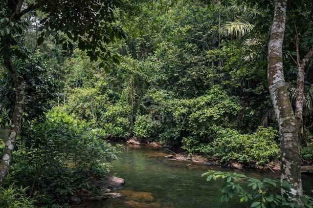 Villa & Campsite, Riverfront Land, Buloh Telor, Kuala Kubu Bharu 1