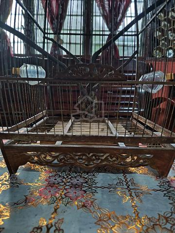 Carousel Image