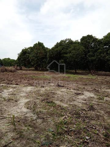 Tanah Larut & Matang Perak untuk Dijual 1
