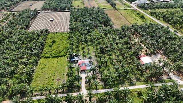 TANAH PERTANIAN + Rumah_Kampung Api-Api, Kuala Selangor 1