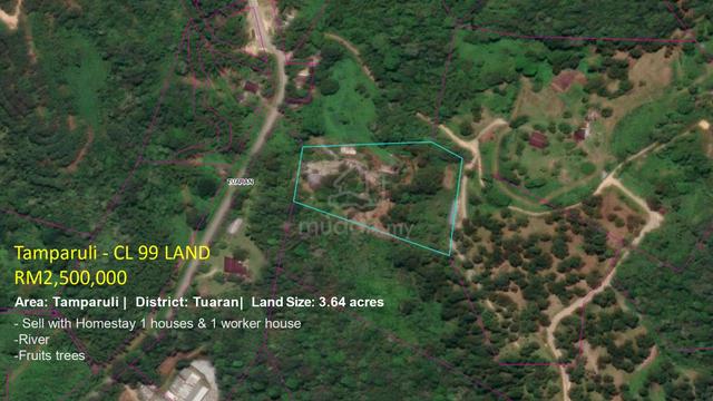Tamparuli 3.64 Acres Land / CL / Homestay & Farm / Tuaran / KK 1