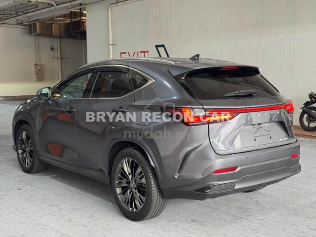 2023 Lexus NX 250 2.5 LUXURY LOW MILEAGE - 5