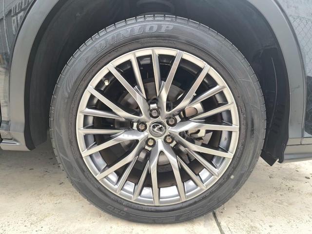 2022 Lexus RX300 F SPORT 2.0L _10YR WARTY - 5
