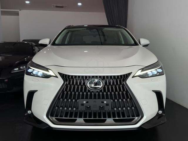 2023 Lexus NX250 2.5 VERSION L (A) - 2