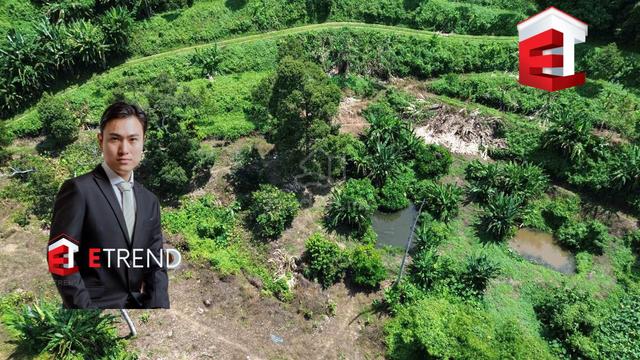Kuala Kangsar Perak FREEHOLD Agriculture Land with Water Source 1