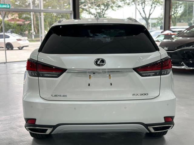 2021 Lexus RX300 LUXURY Rear Electric - 4