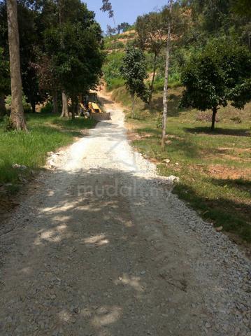 Broga -14.5 acre 1