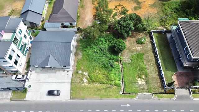 Bungalow Lot Jalan Kebun Tepi Mainroad Bebas Banjir 🔥 Next to Rimbayu 2