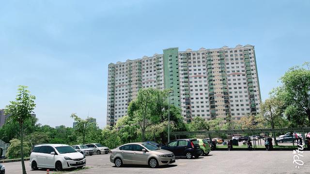 Desaminium Rimba 1