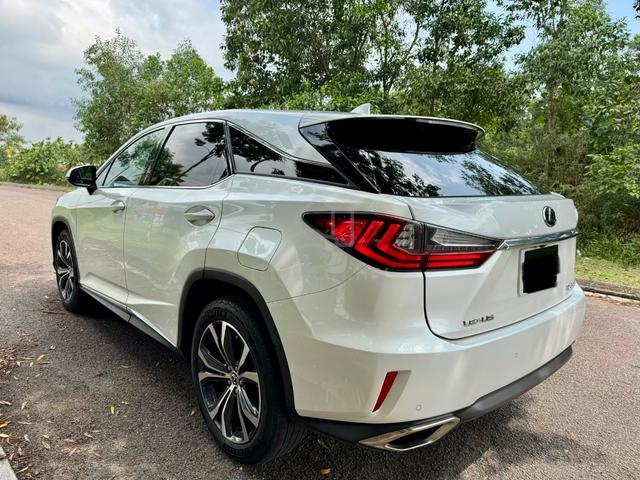 2018 Lexus RX300 2.0 LUXURY (A) - 4