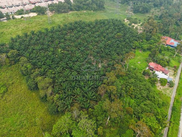 Kuala Kangsar / Agricultiral Land / 1.3 Acres / FREEHOLD / Access Road 1