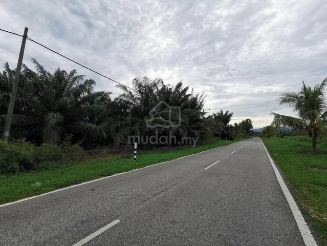 116 Acres Agriculture Oil Palm Kelicap Batu Pahat Minyak Beku Johor 1