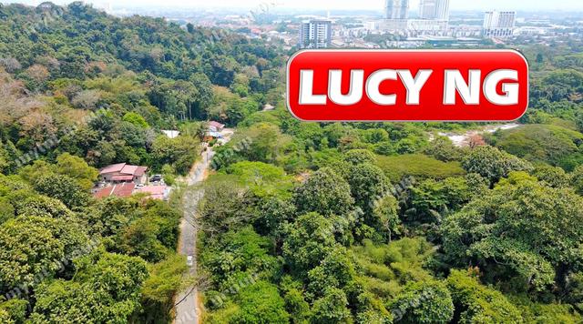 1.208 acres | Residential Land | Bukit Tengah | Bukit Mertajam t 3