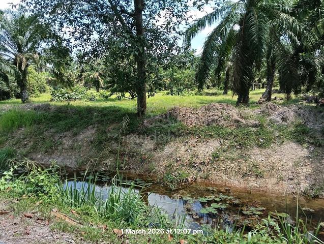 Tanah Untuk Dijual di Parit Londang, Parit Raja 1