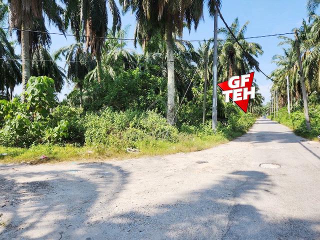21.51 acre Residential Land Bandar Tasek Mutiara Simpang Ampat Penang 1