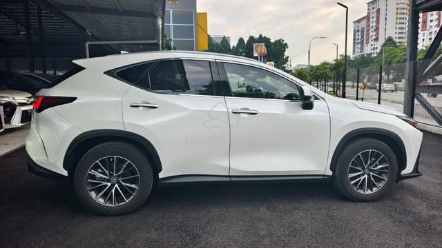 2023 Lexus NX250 2.5 LUXURY (A) - 5