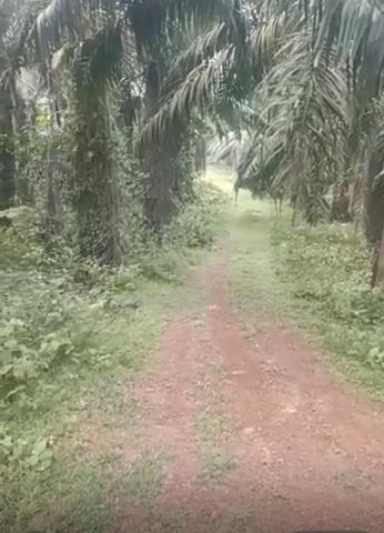 Freehold Agriculture Land for sale - Paya Rumput, Melaka 1
