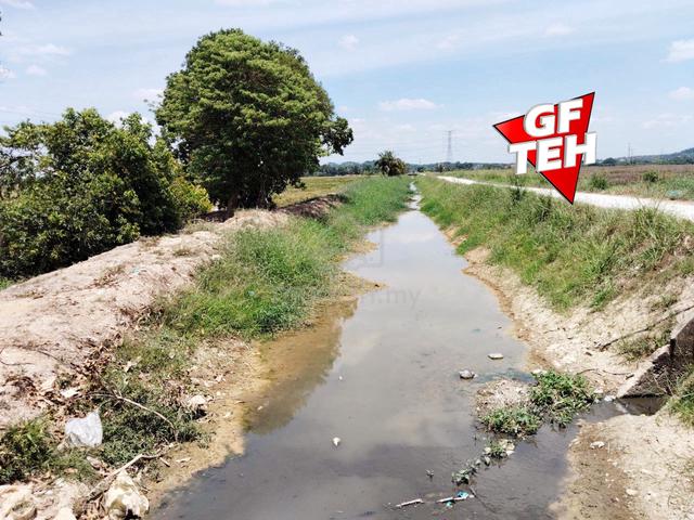 2.47 acre Agricultural Land Paddy Field Permatang Pauh Bukit MertajamL 1