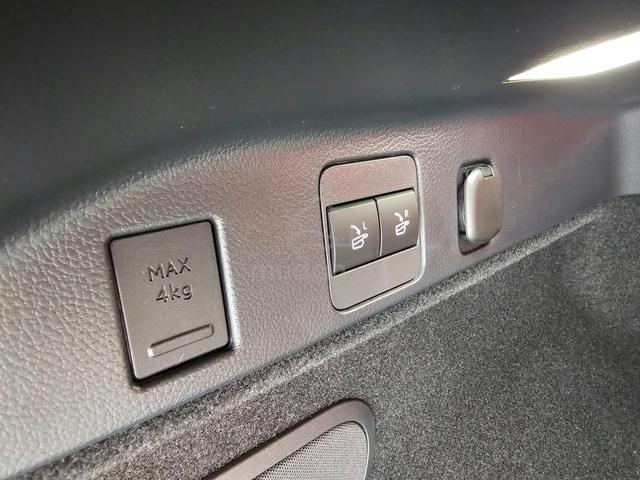 2024 Lexus RX350 2.4 F SPORT P/R Mark Levinson F/S - 4
