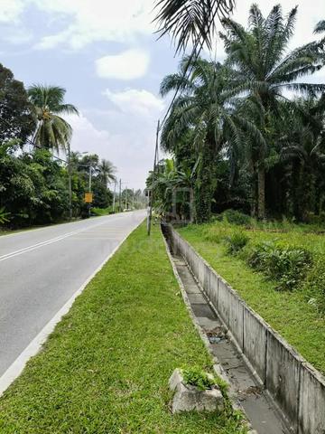 TANAH MURAH UNTUK DIJUAL DI NIBONG TEBAL (Tepi Jalan Raya)!!! 1