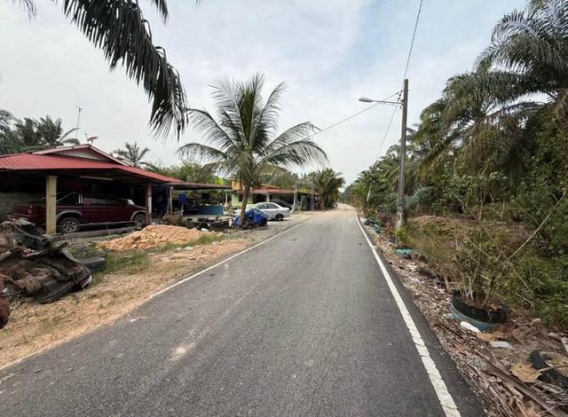 Kebun sawit Ayer Hitam 1