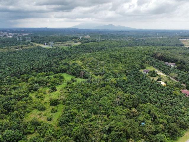 132 Acre Palm Oil Plantation Land Melaka 1