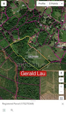 CL Land|Residential|Kawasan Membakut|Road Access|Sabah|Rent 1