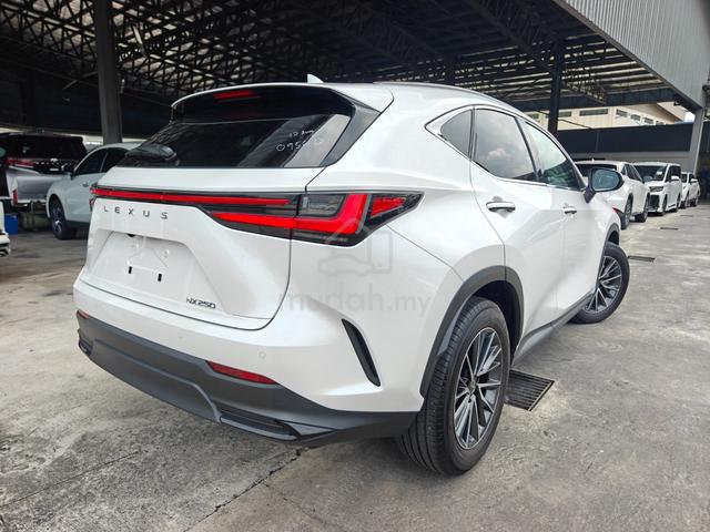 2023 Lexus NX 250 5A P/Roof 4Cam HUD Black Leather - 2