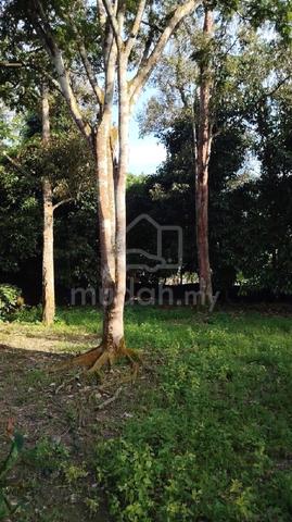 Dusun untuk Di Jual 1