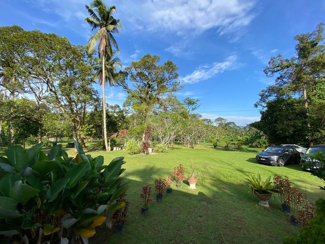 With river✅️ BEAUTIFUL Durian Orchard Farm, Sg Lui Hulu Langat 1
