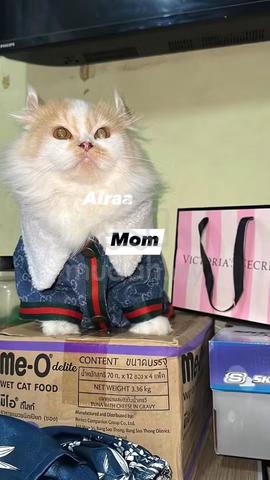 Carousel Image