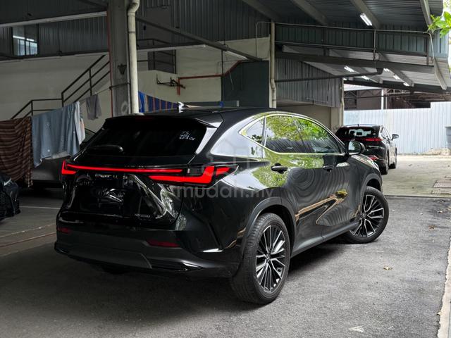 2023 Lexus NX 250 2.5 LUXURY (A) - 3