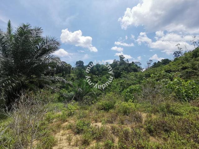 10acres Freehold Agriculture Land Manjung Lumut Setiawan 1