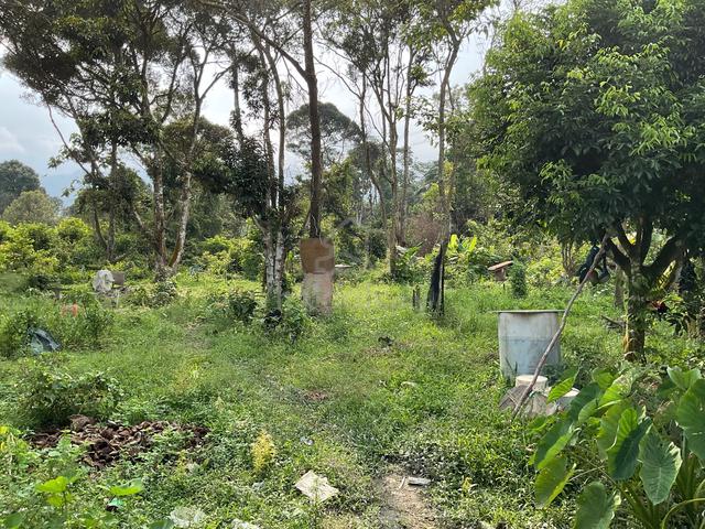 Below Market Value Multi purpose Agri Land (1 Acre) for Sale 1