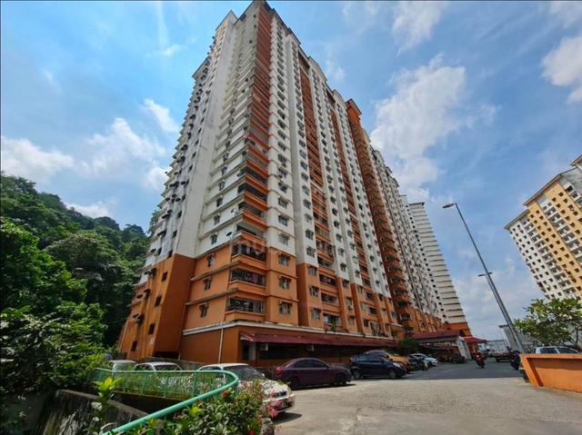 Flora Damansara 1